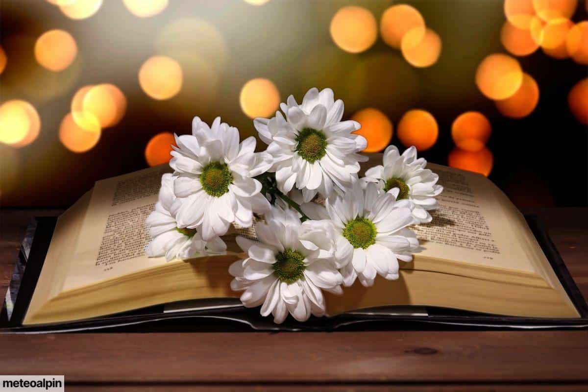 libro abierto con flores