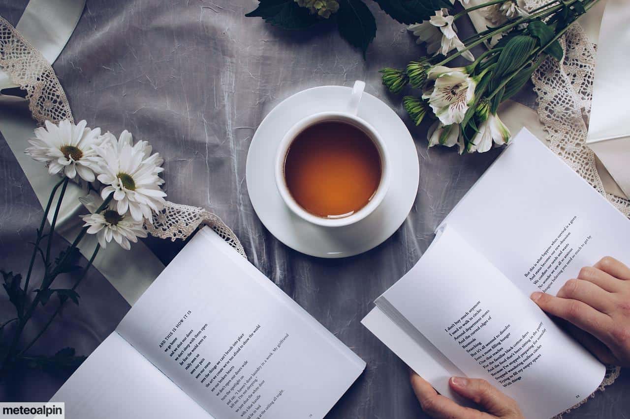 Libro y café