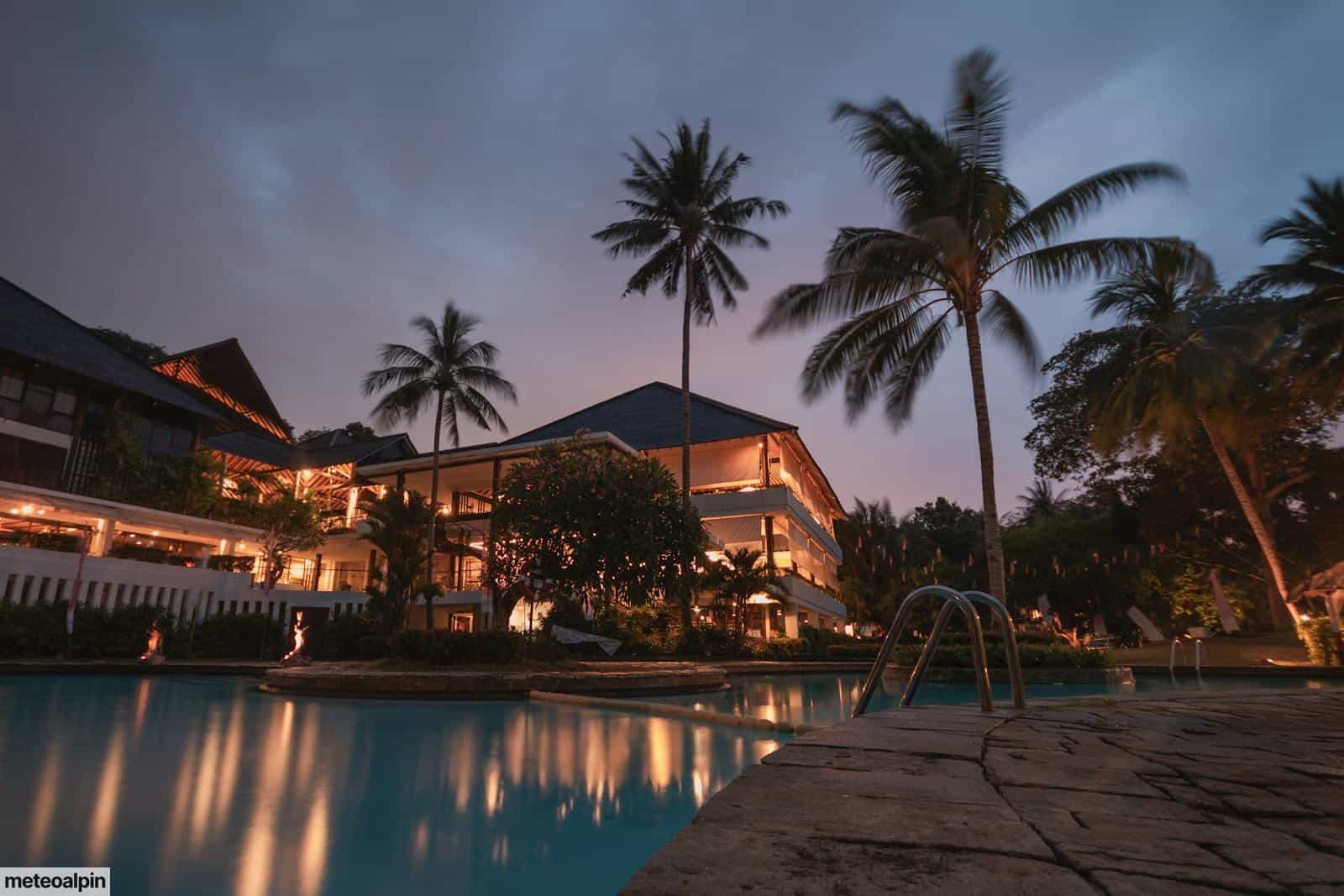 Palm Trees at Night