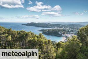 diferencia costa brava y daurada