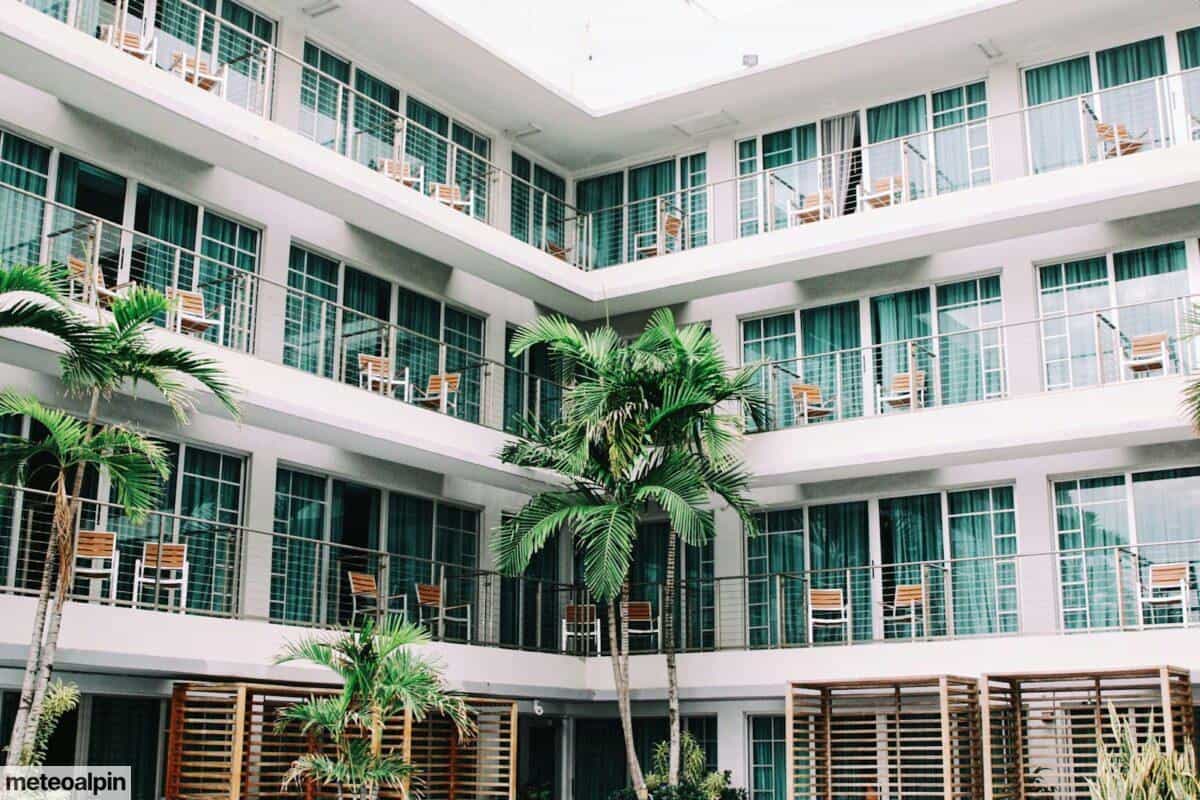 coconut palm trees in hotel lobby