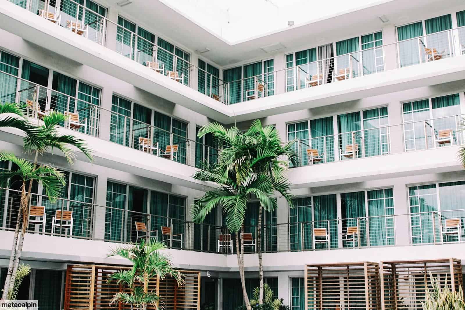 coconut palm trees in hotel lobby