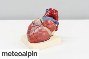 Los beneficios del ejercicio regular