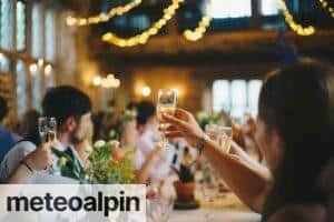 people raising wine glass in selective focus photography